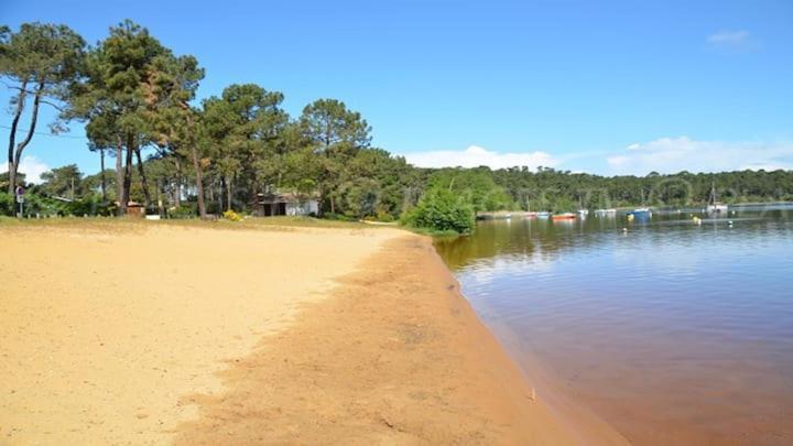 Appartement Sur Golf Avec Piscine Chauffee A Lacanau-Ocean Dış mekan fotoğraf